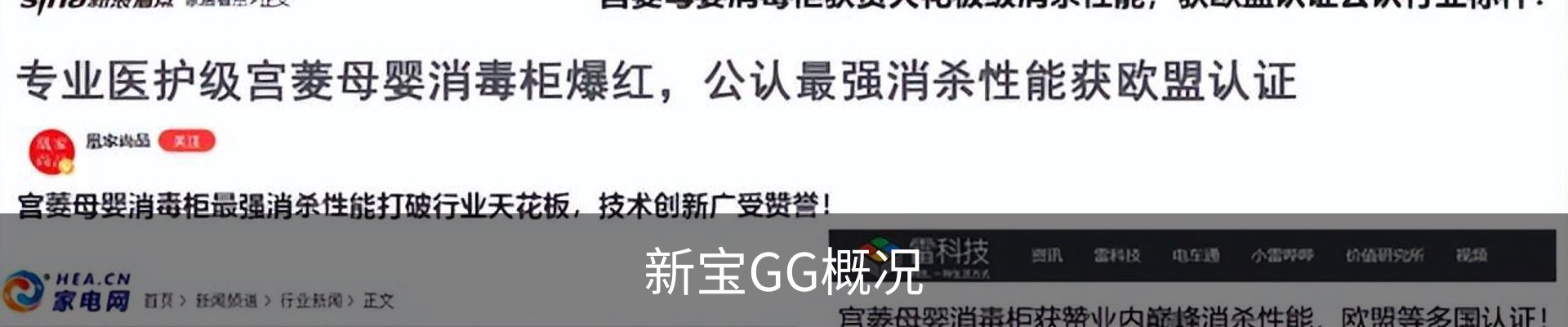 新宝GG概况